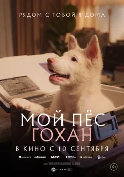 Постер Мой пёс Гохан (2026)