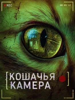 Постер Кошачья камера (2026)